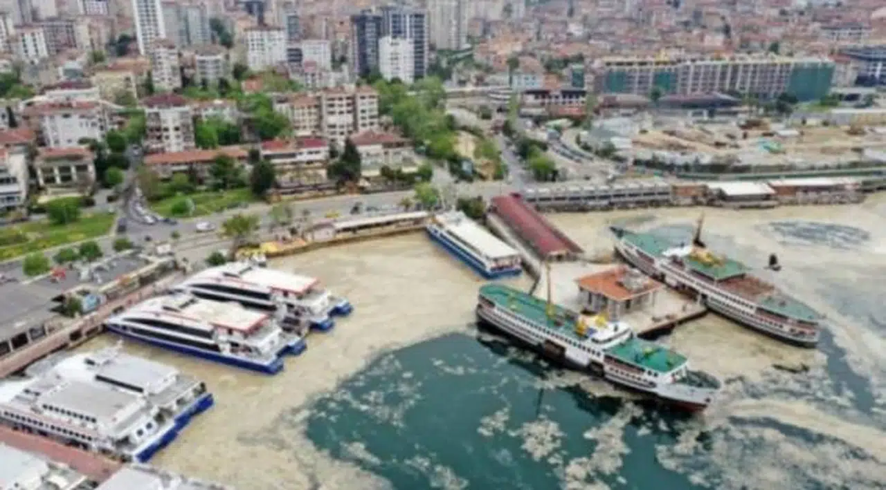 Marmara'yı saran deniz salyası hakkında açıklama
