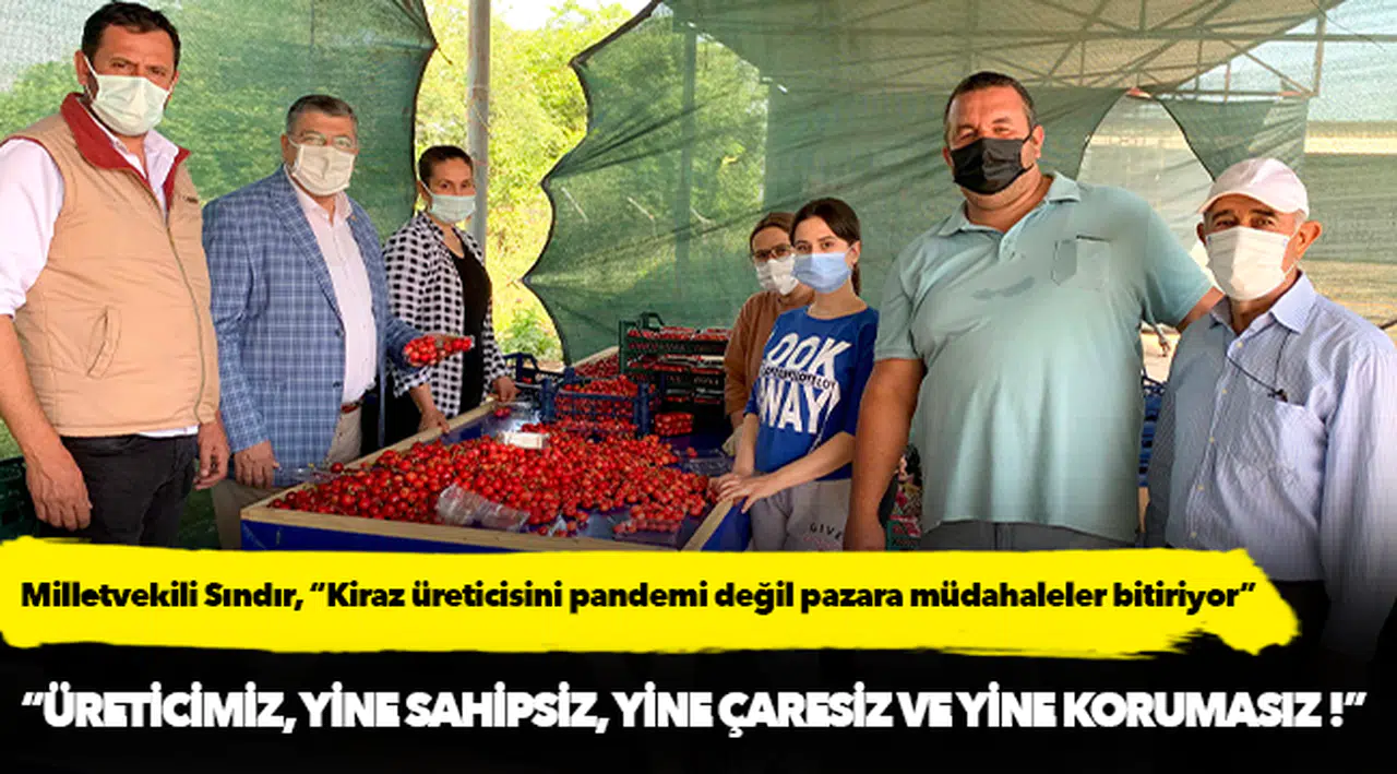 Milletvekili Sındır, “Kiraz üreticisini pandemi değil pazara müdahaleler bitiriyor”
