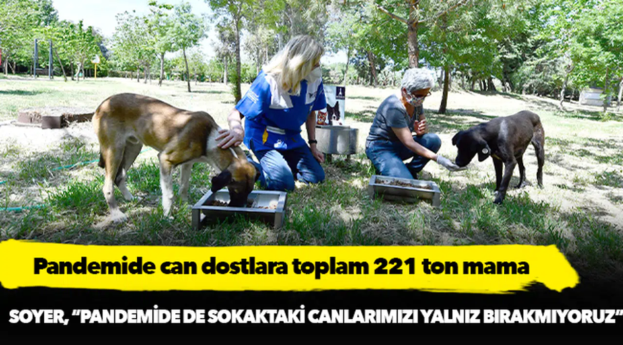 Pandemide can dostlara toplam 221 ton mama