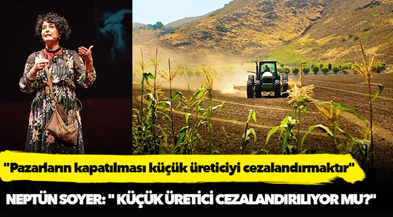 Soyer: “Pazarların kapatılması küçük üreticiyi cezalandırmaktır”