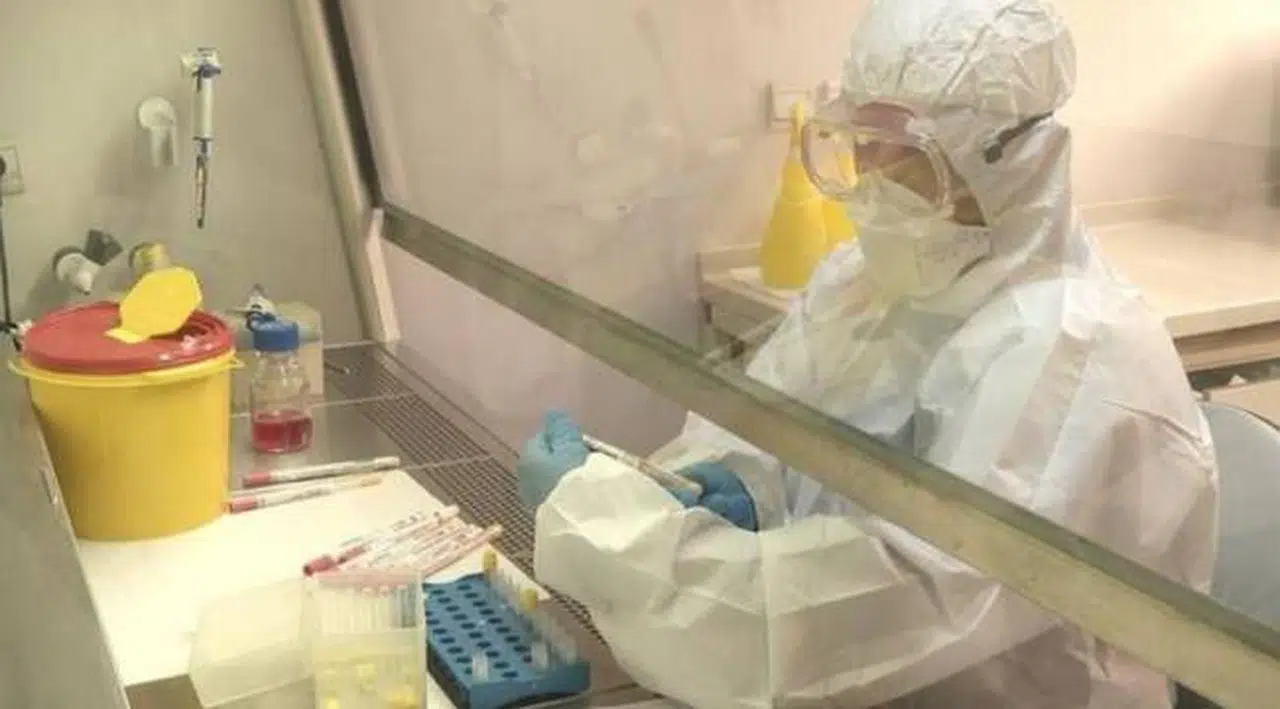 Türkiye ile Sırbistan arasında test zorunluluğu kaldırıldı