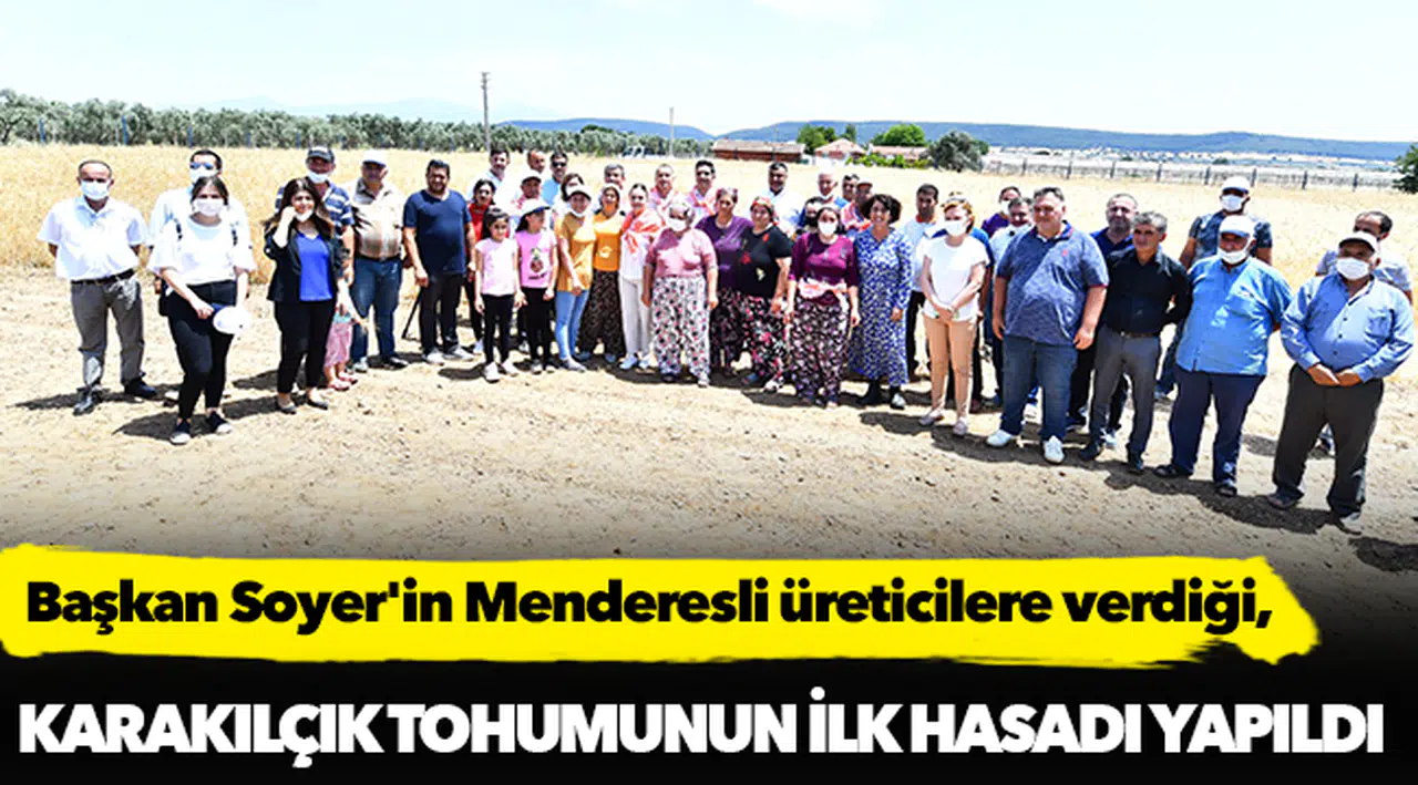 Başkan Soyer'in Menderesli üreticilere verdiği karakılçık tohumunun ilk hasadı yapıldı