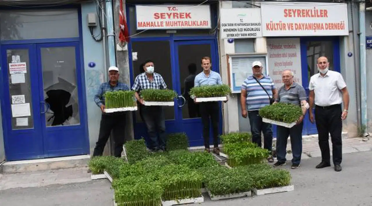 Belediyeden vatandaşlara 200 bin fide desteği