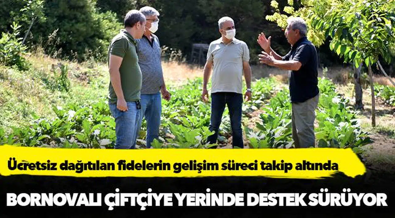 Bornovalı çiftçiye yerinde destek sürüyor