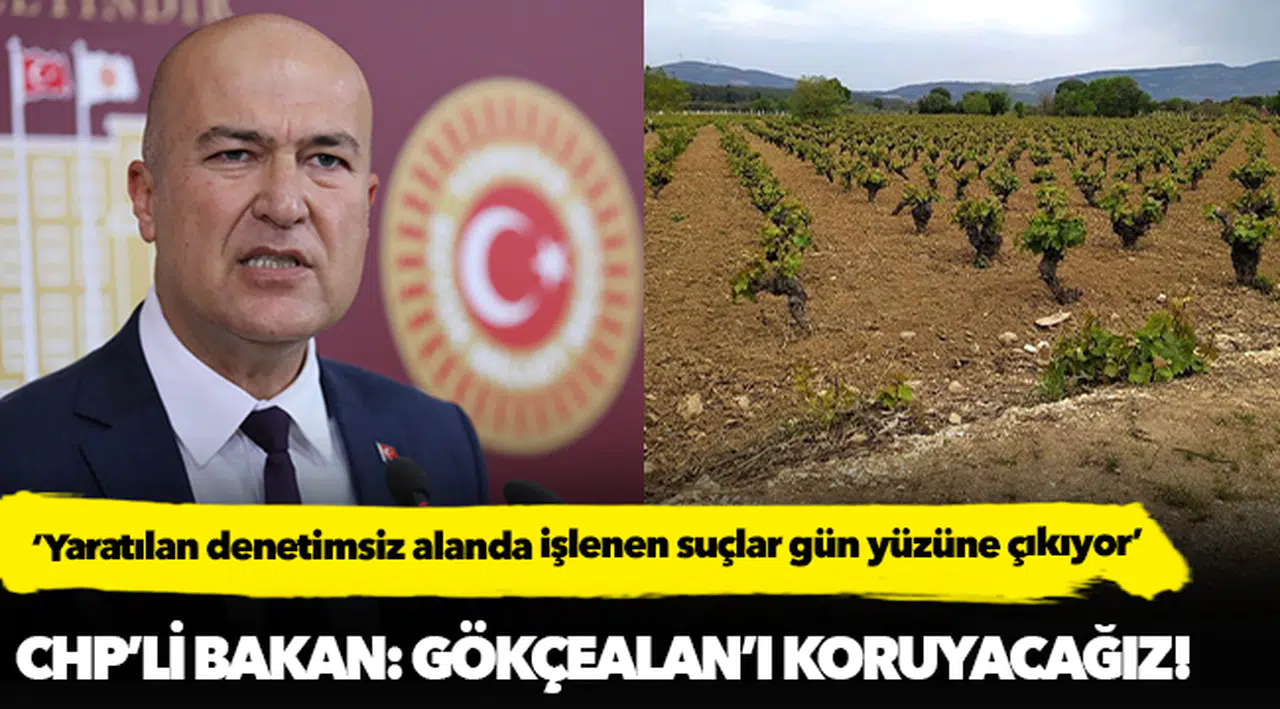 CHP’li Bakan: Gökçealan’ı koruyacağız!