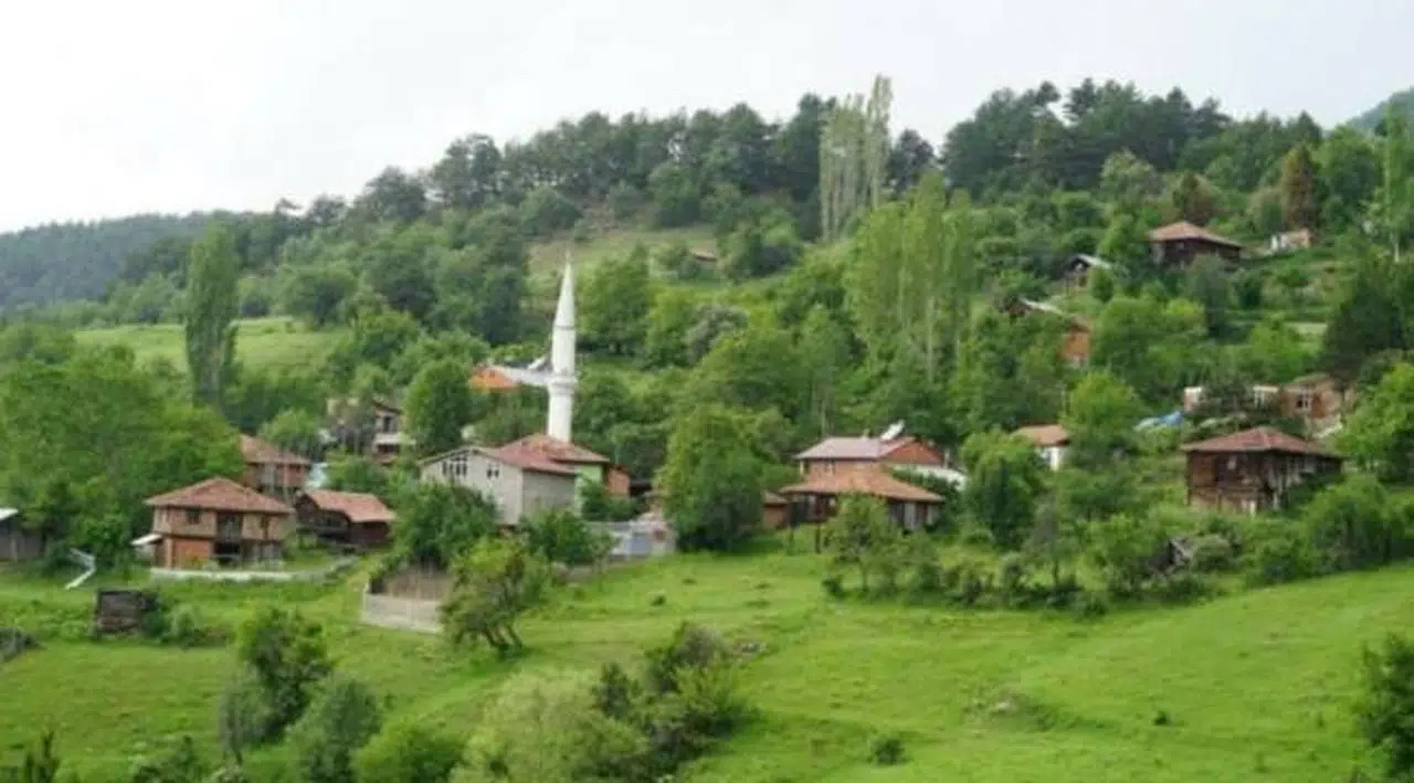 Defineciler, kendilerini AFAD görevlisi olarak tanıtarak kazı yaptı