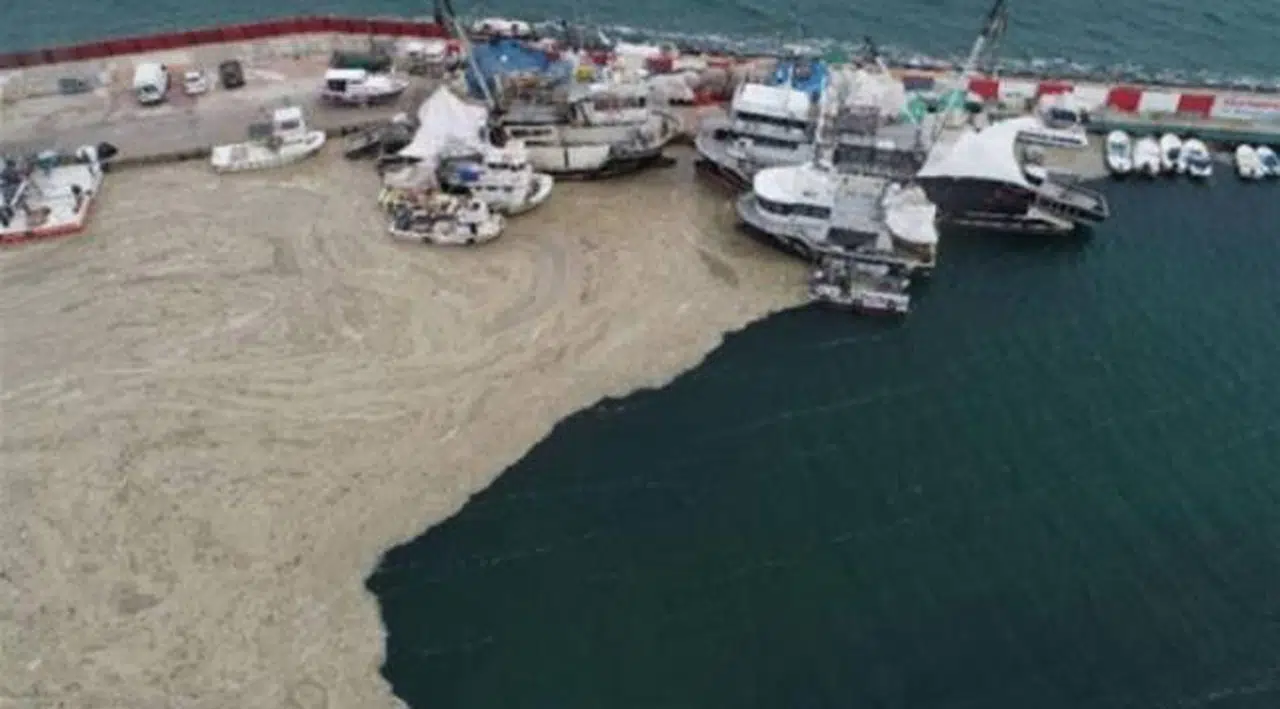 'Marmara Denizi ölü bir tuzlu su yatağına dönüştü'