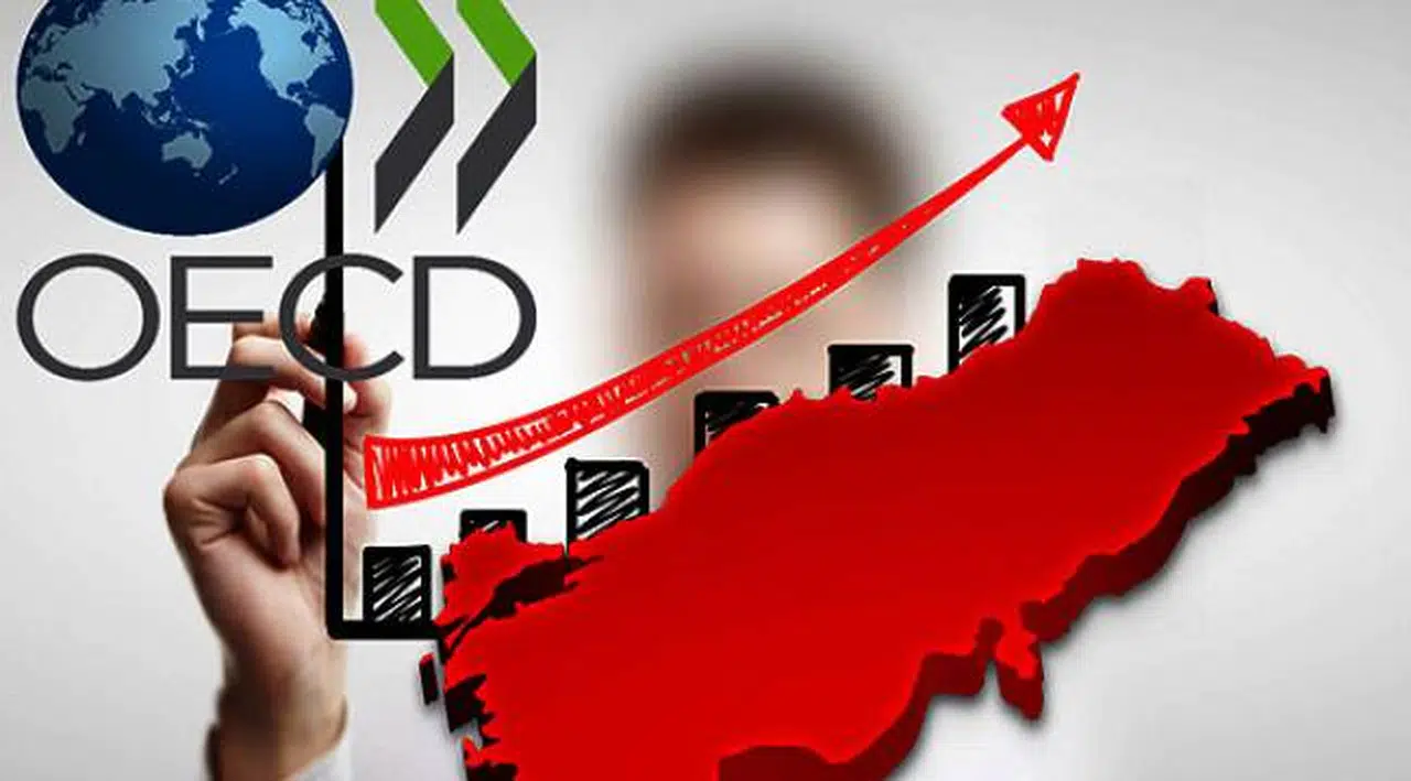 OECD'den Türkiye'ye tavsiye: Halka krediyle borçlandırmayın, karşılıksız destek verin