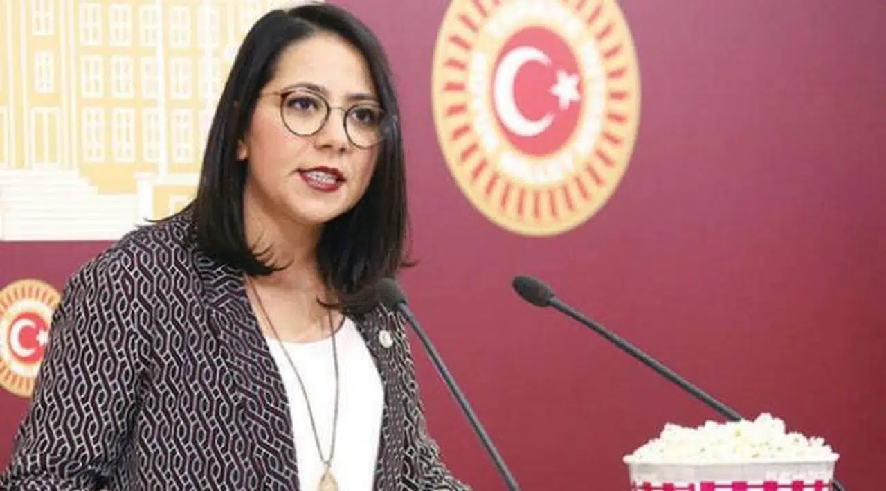 Sera Kadıgil CHP'den İstifa Etti