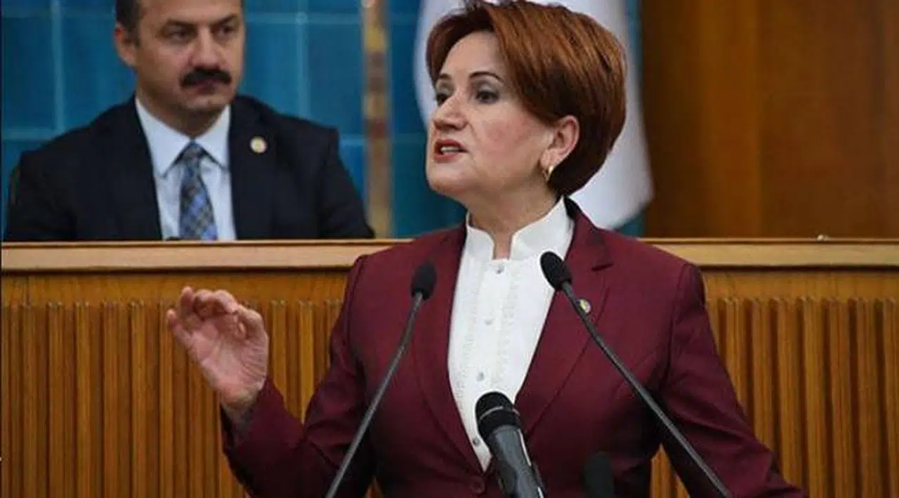 Akşener'den Pakdemirli'ye sert sözler: Beceriksizlikte bir dünya markası