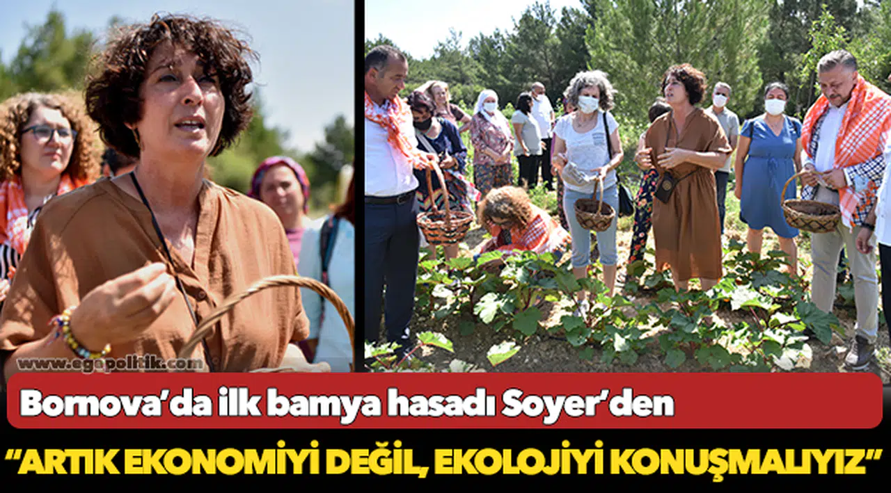 Bornova’da ilk bamya hasadı Soyer’den