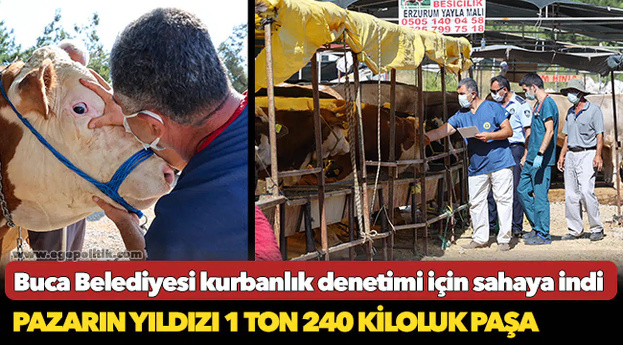 Buca Belediyesi kurbanlık denetimi için sahaya indi