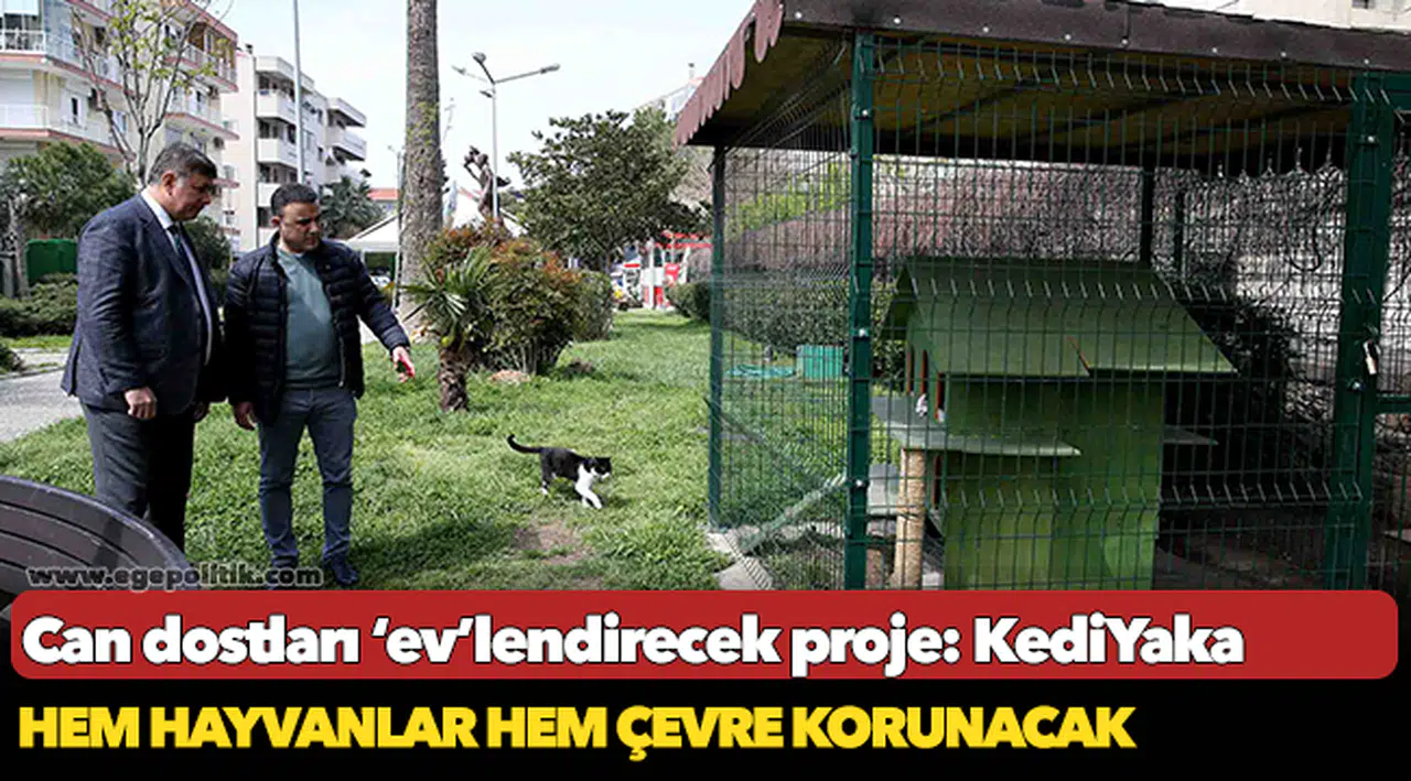 Can dostları ‘ev’lendirecek proje: KediYaka