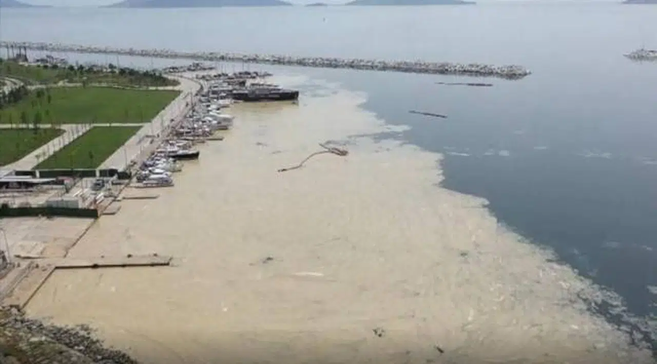 Çevre ve Şehircilik Bakanı Kurum: Toplanacak miktarda müsilaj kalmadı