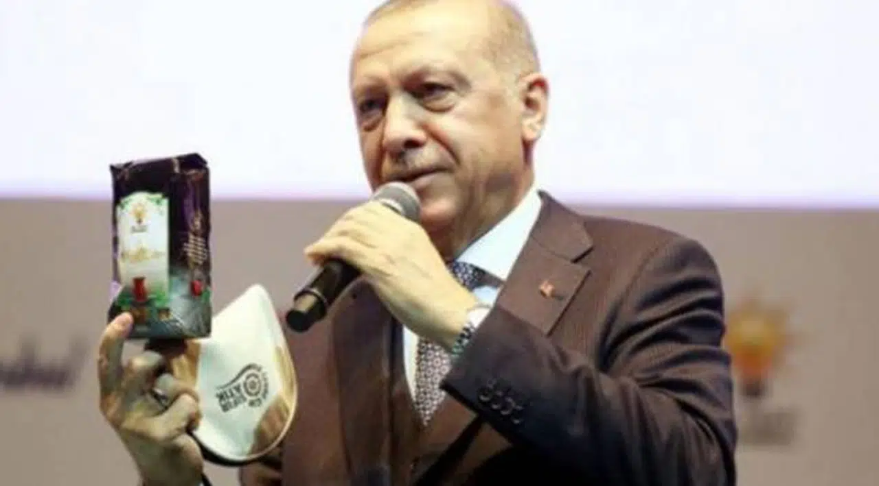 Erdoğan'dan elektrikte yeni özelleştirme kararı!