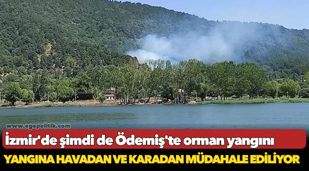 İzmir'de şimdi de Ödemiş'te orman yangını
