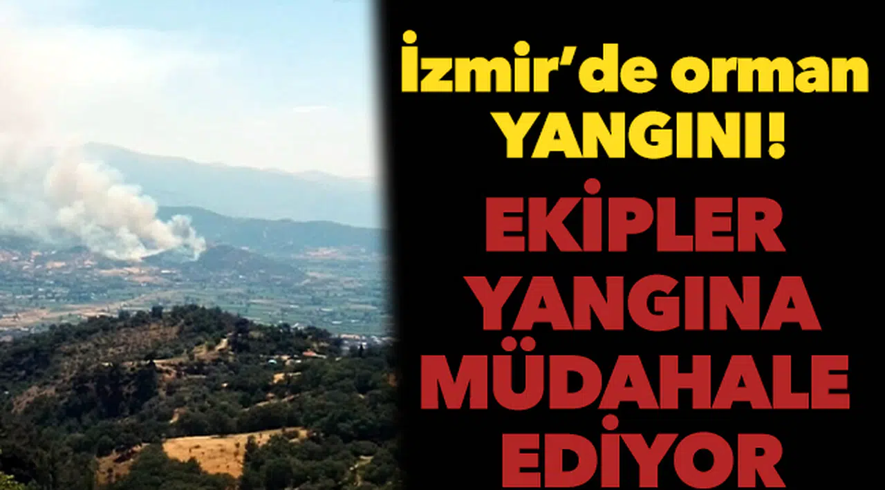 İzmir Kiraz'da orman yangını çıktı