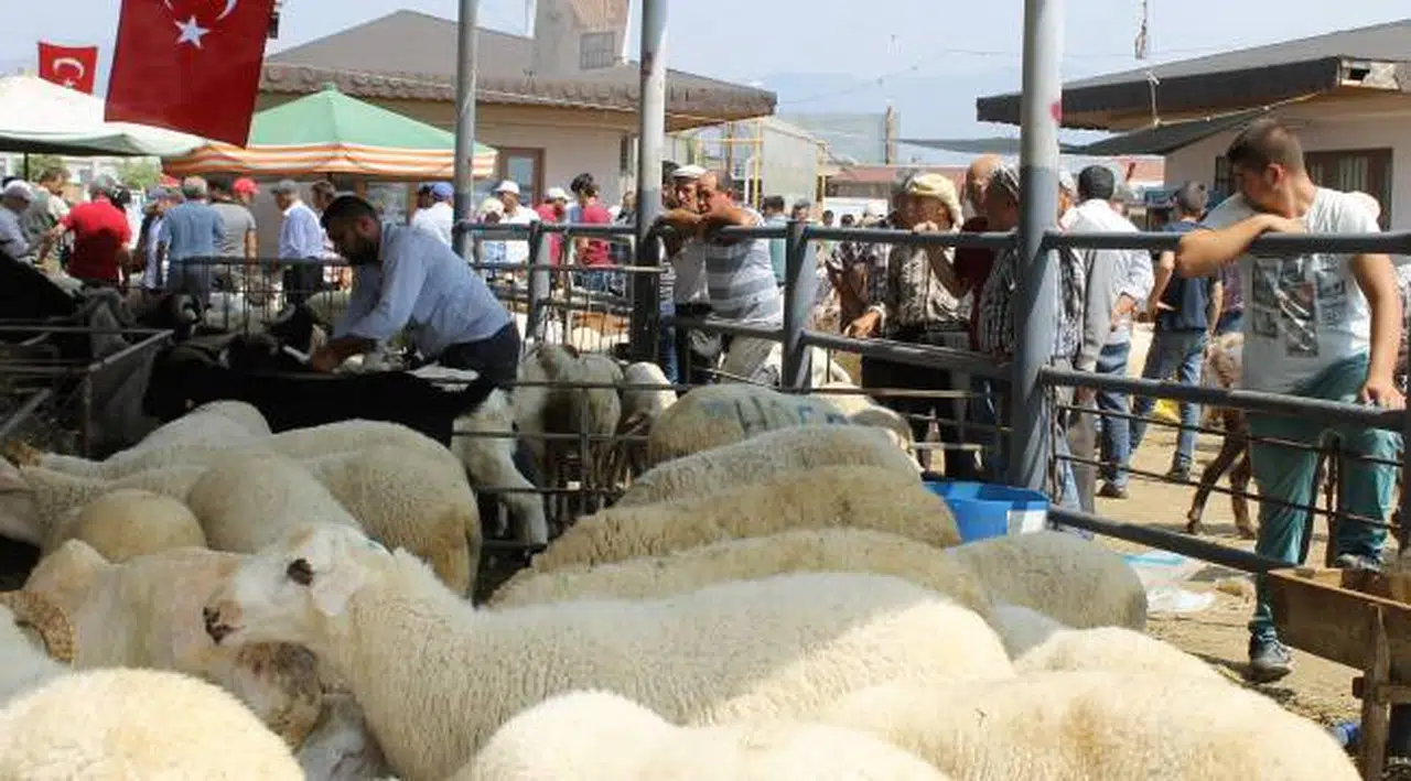 Ödemiş’te kurban satış ve kurban kesim yerleri belli oldu