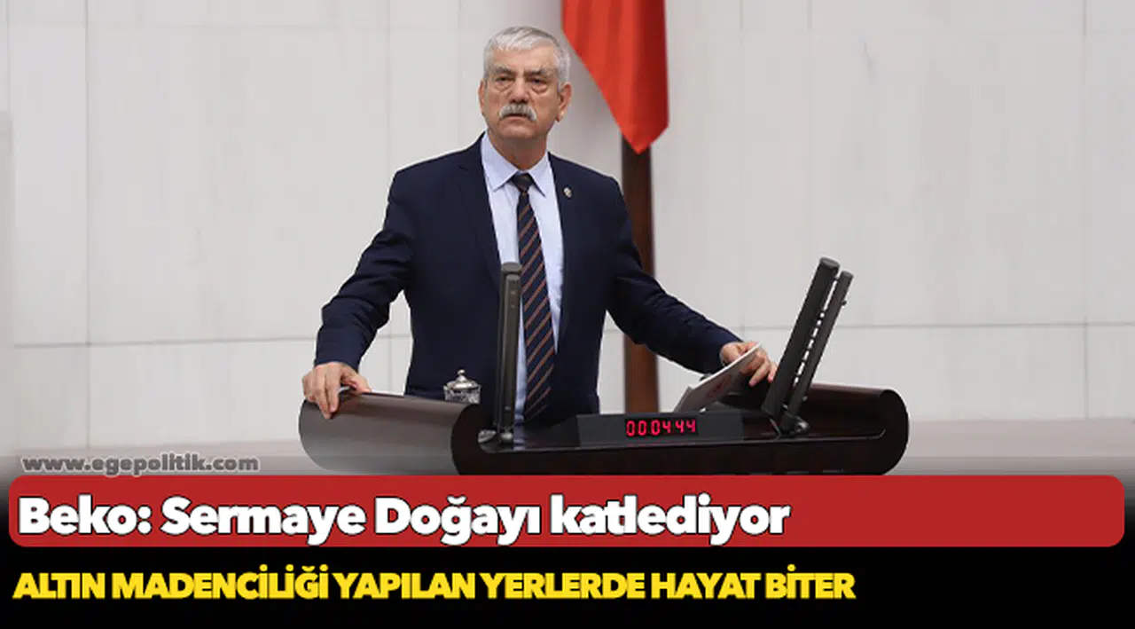 Beko: Sermaye Doğayı katlediyor