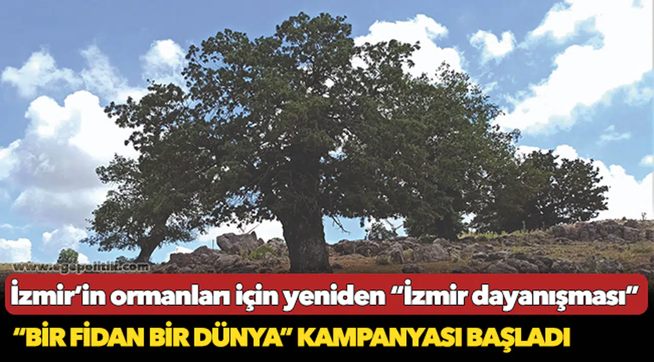 “Bir Fidan Bir Dünya” kampanyası başladı