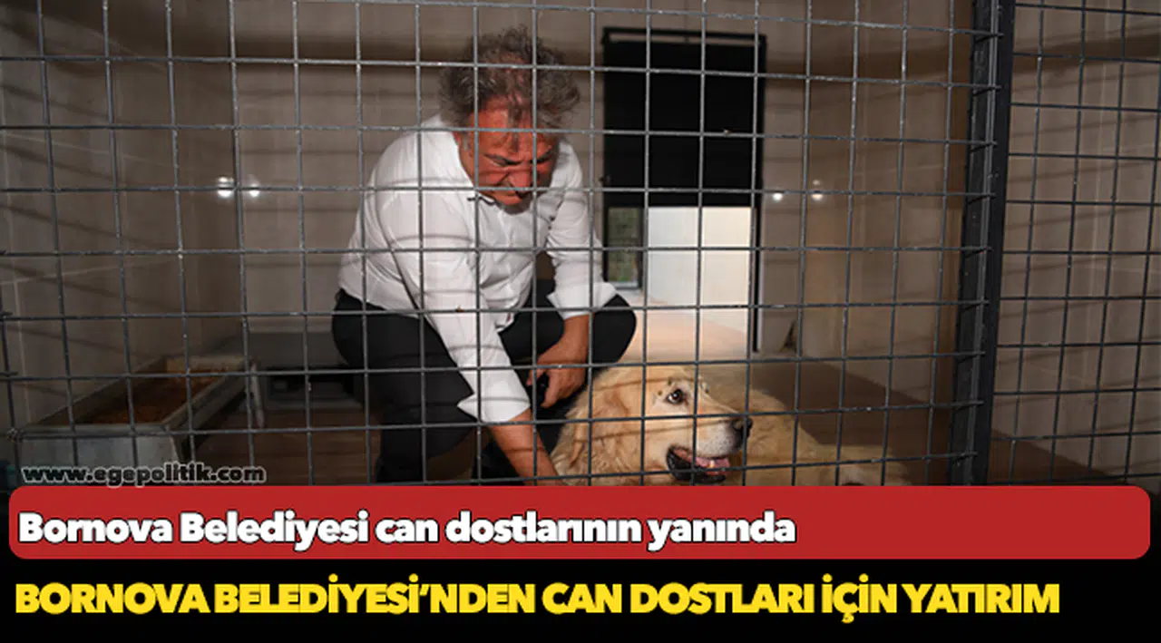 Bornova Belediyesi can dostlarının yanında