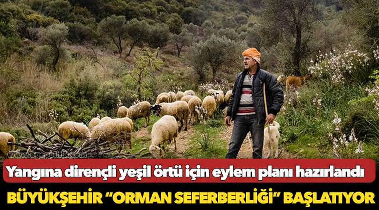 Büyükşehir “orman seferberliği” başlatıyor