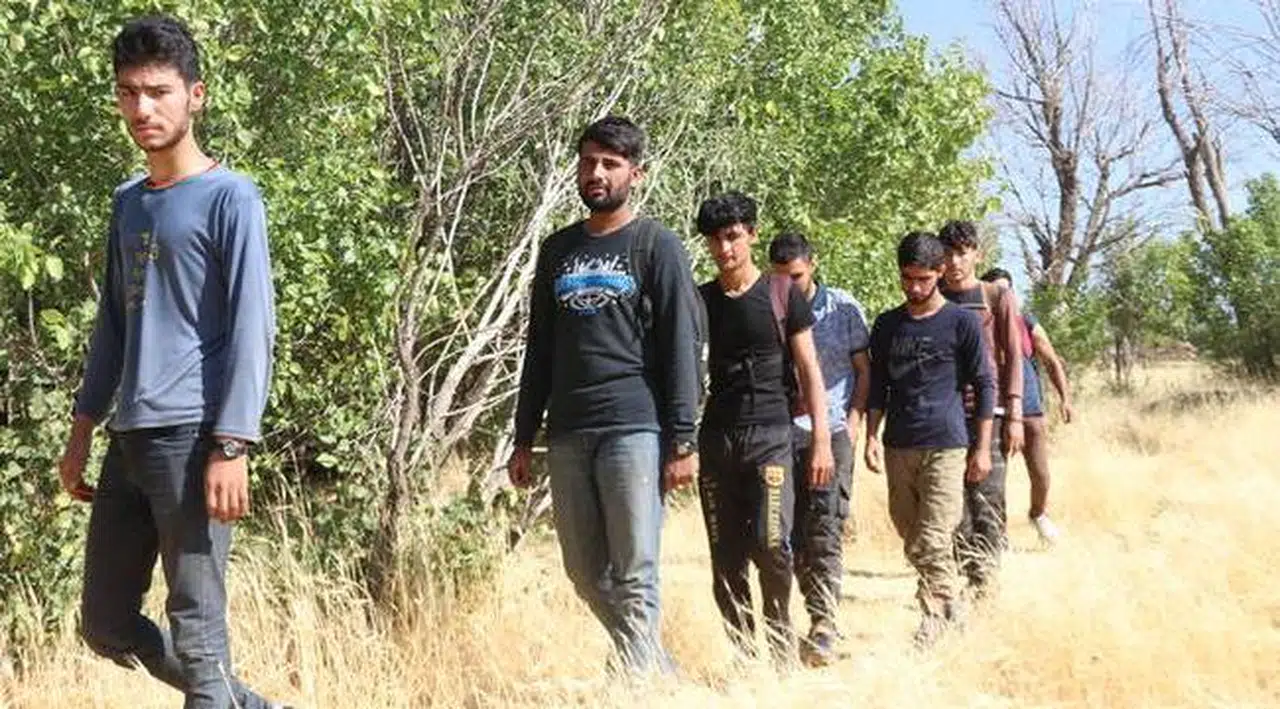 Düzensiz göçün öteki yüzü: Kayıt dışı istihdam uçuşa geçti