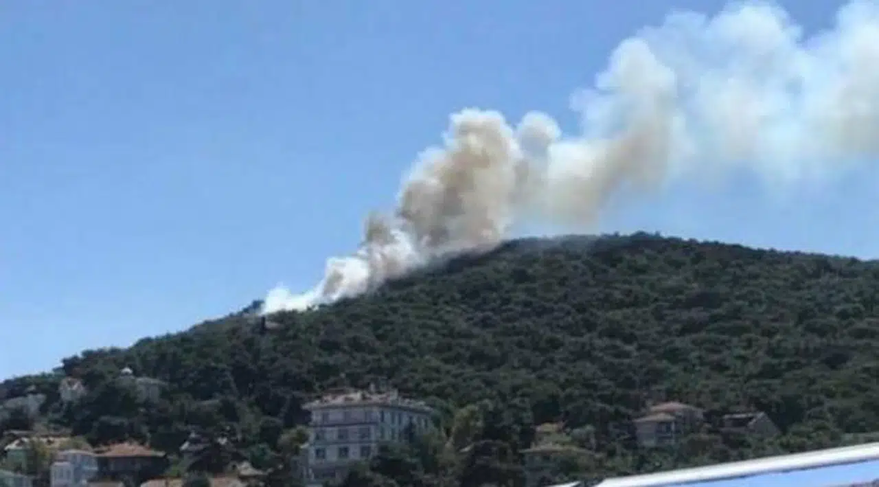 Heybeliada'da orman yangını