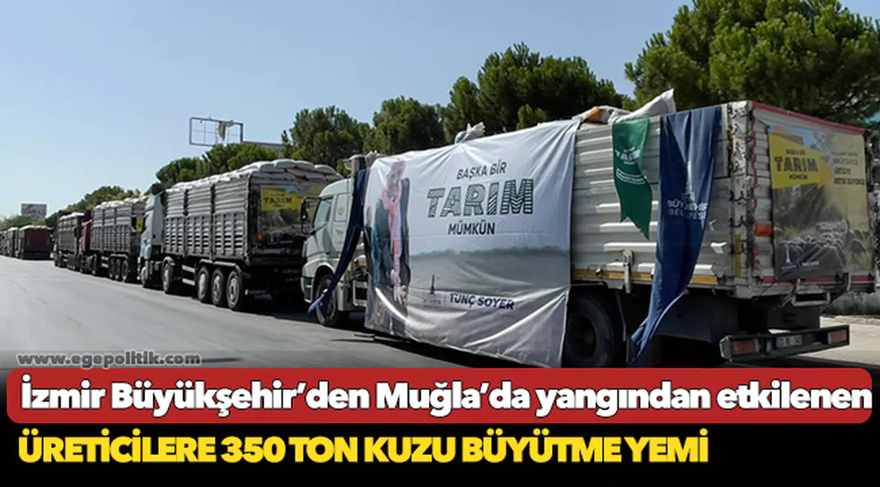 İzmir Büyükşehir’den Muğla’da yangından etkilenen üreticilere 350 ton kuzu büyütme yemi