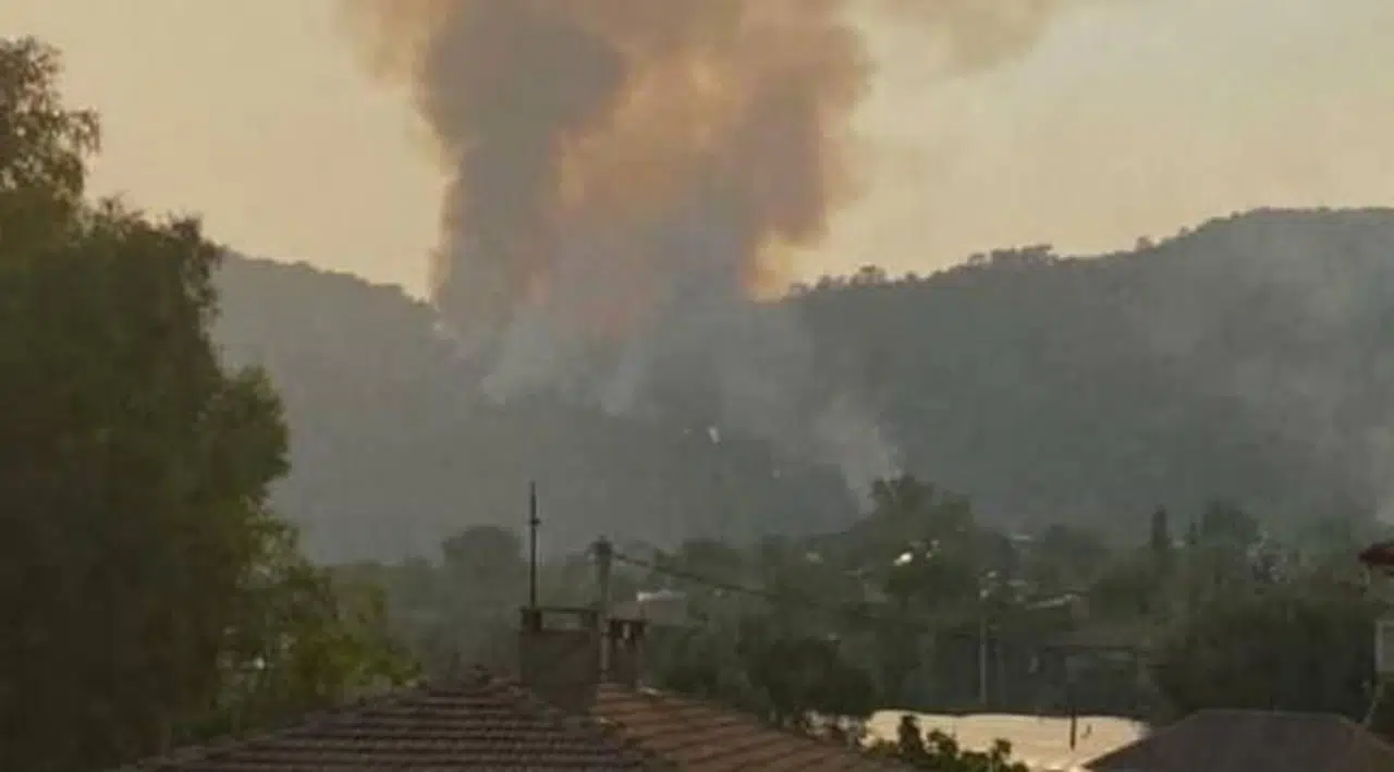Muğla'da bir orman yangını daha