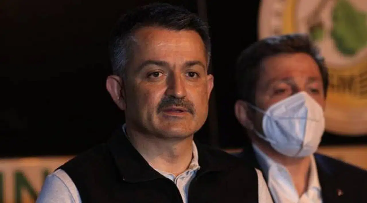 Pakdemirli: Milas'ta yangın şu anda uyuyor