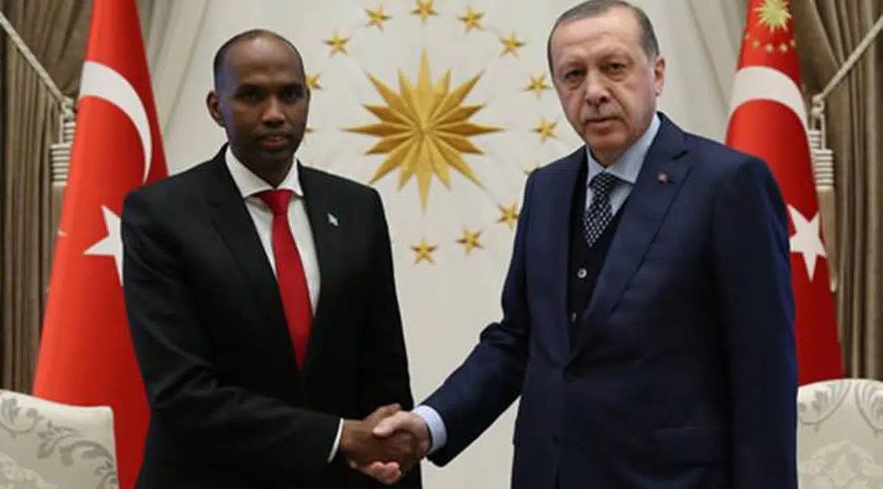 Resmî Gazete'de yayımlandı: Somali'ye 30 milyon dolarlık hibe verilecek