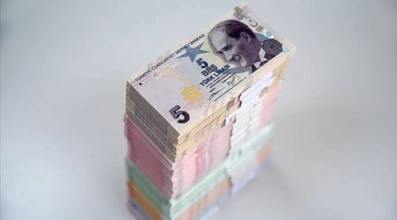 20 TL ve 5 TL'lik banknotlarda değişiklik