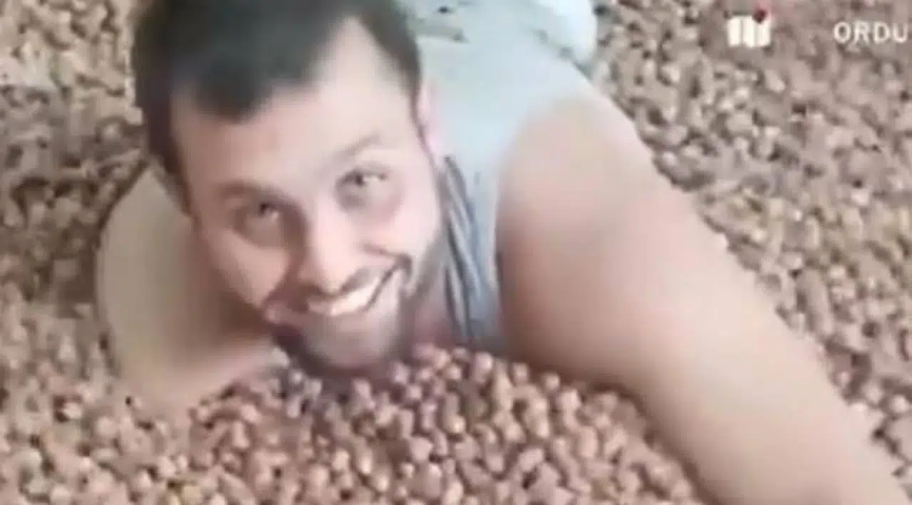 Fındıkların içinde yüzen üreticiye soruşturma