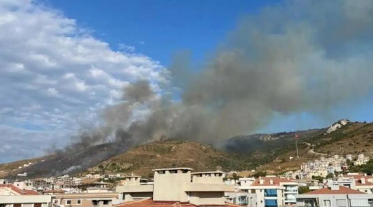 İzmir'de makilik alanda yangın