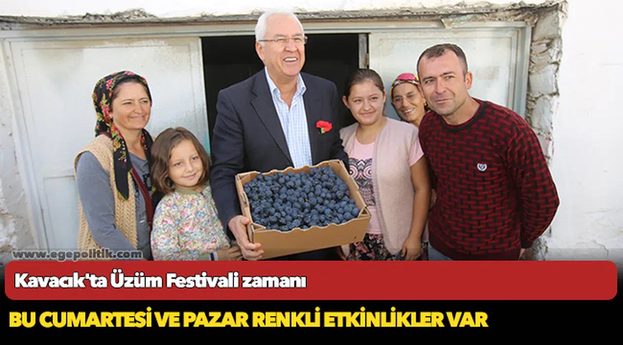 Kavacık'ta Üzüm Festivali zamanı