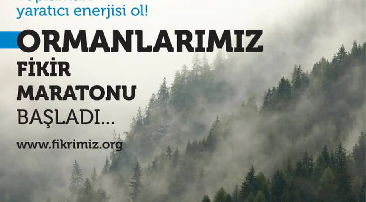 Ormanlar için fikir maratonu başladı