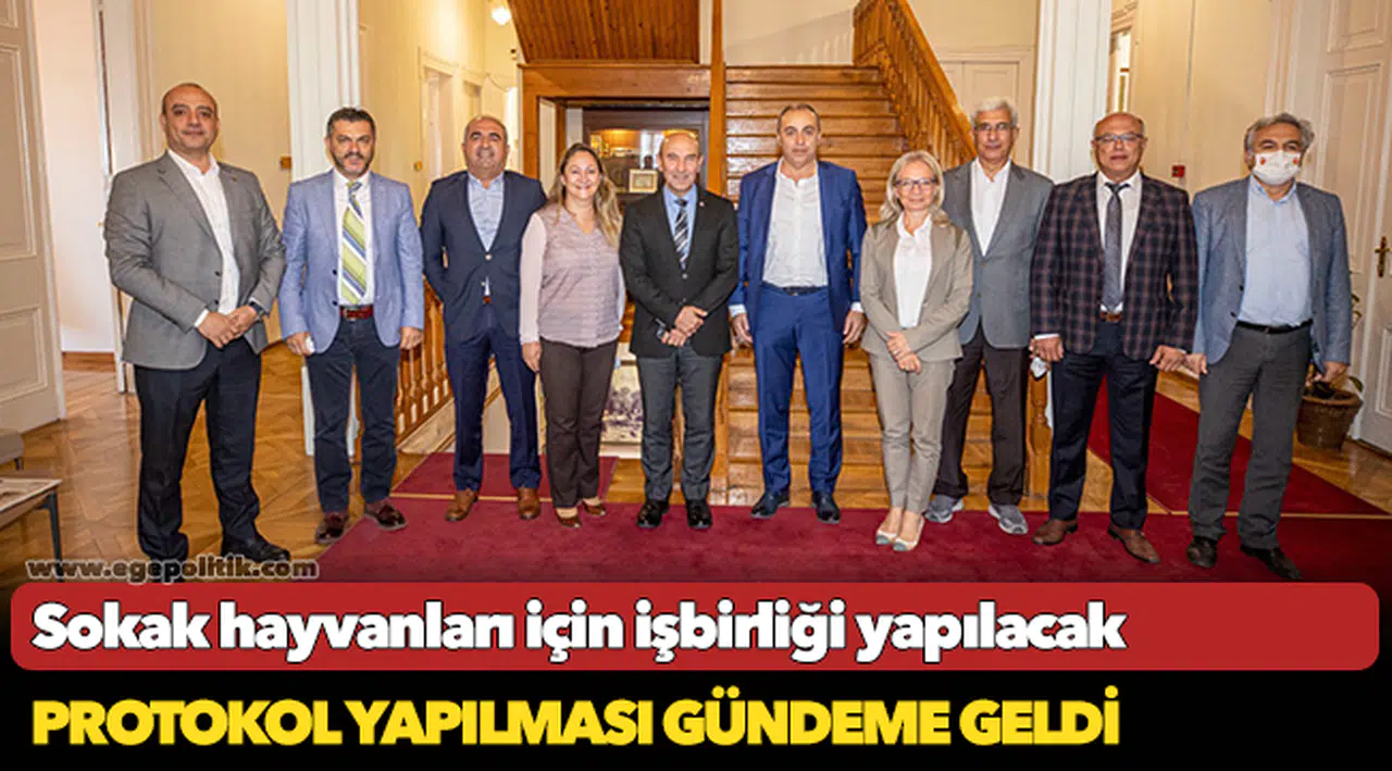 Sokak hayvanları için işbirliği yapılacak