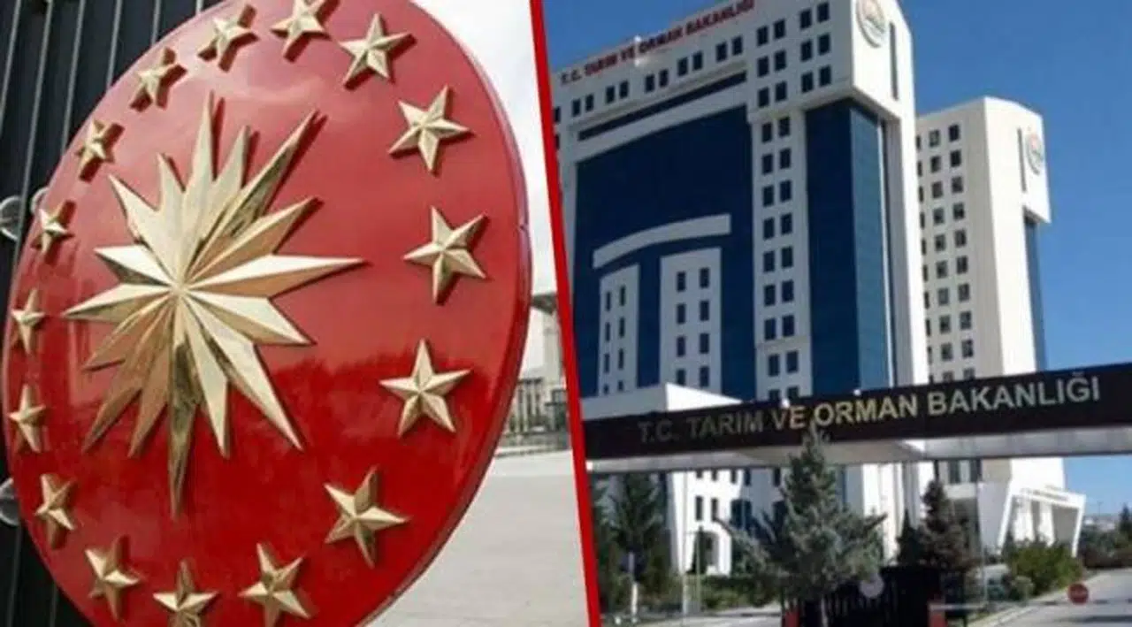 'Cumhurbaşkanlığı kurumu bakanlık hakkında rüşvet soruşturması başlattı' iddiası