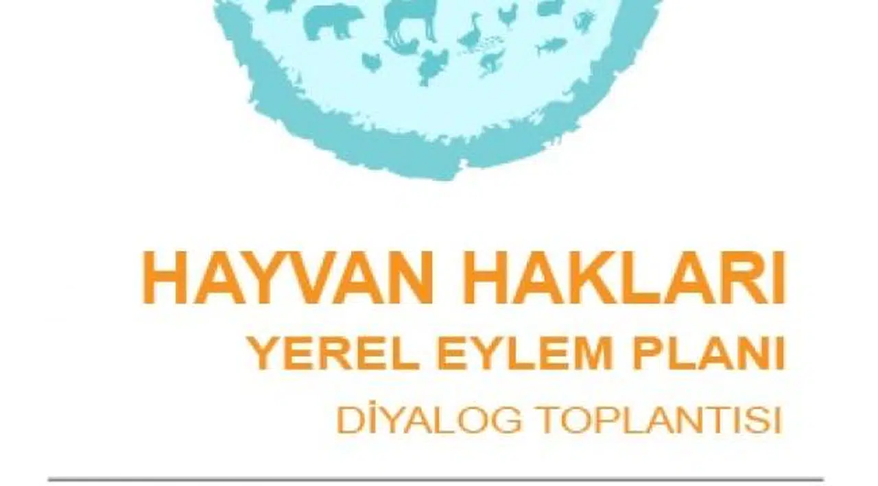 Hayvan Hakları İzmir Yerel Eylem Planı Diyaloğu için toplanıyor