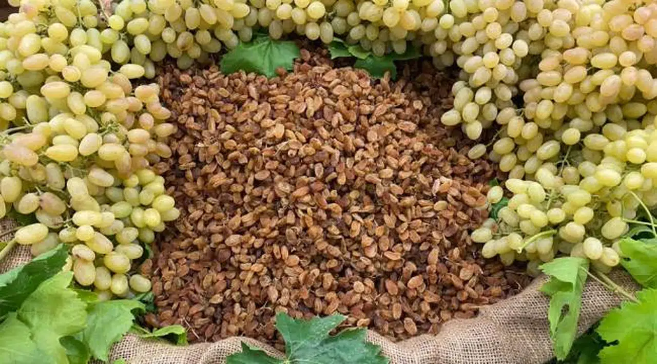 Kuru üzüm ihracatçıları son tüketiciye ürün satmak için kolları sıvadı
