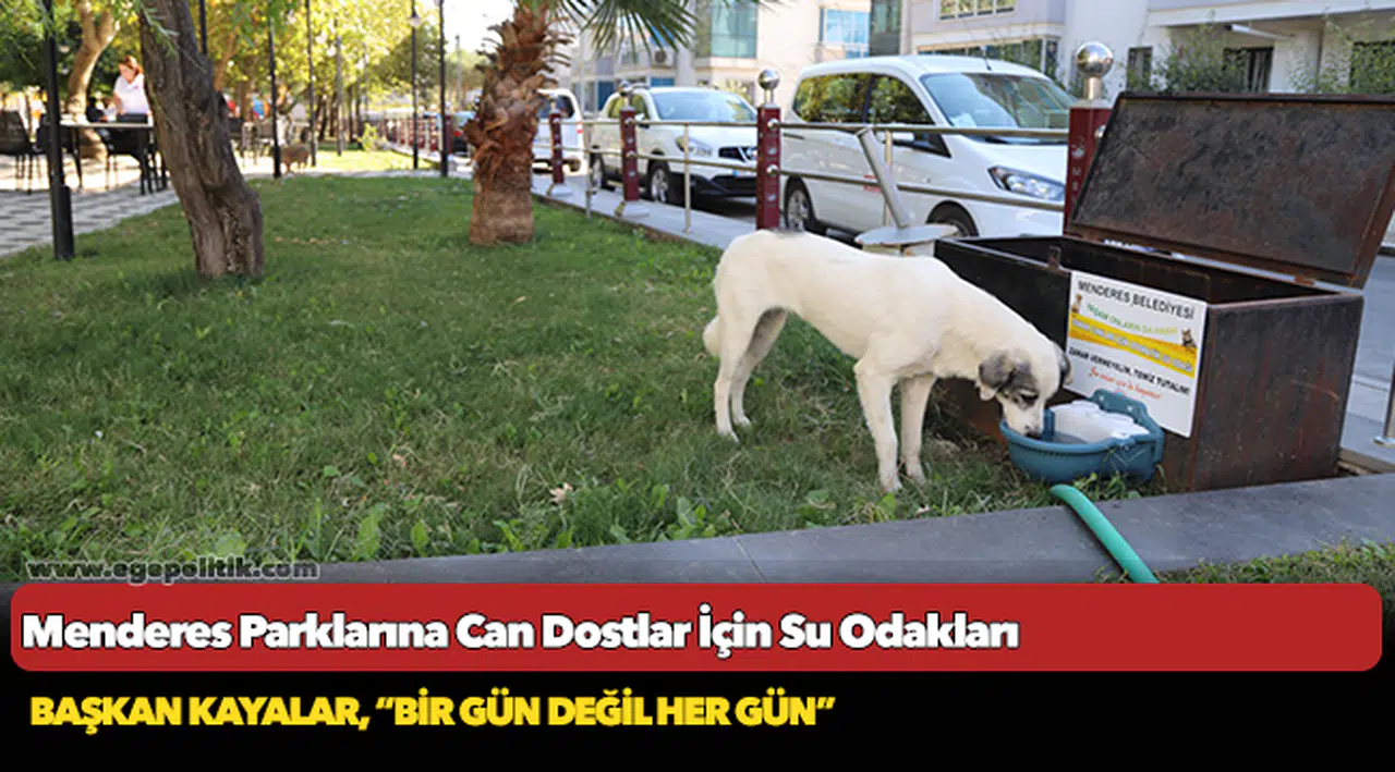 Menderes Parklarına Can Dostlar İçin Su Odakları