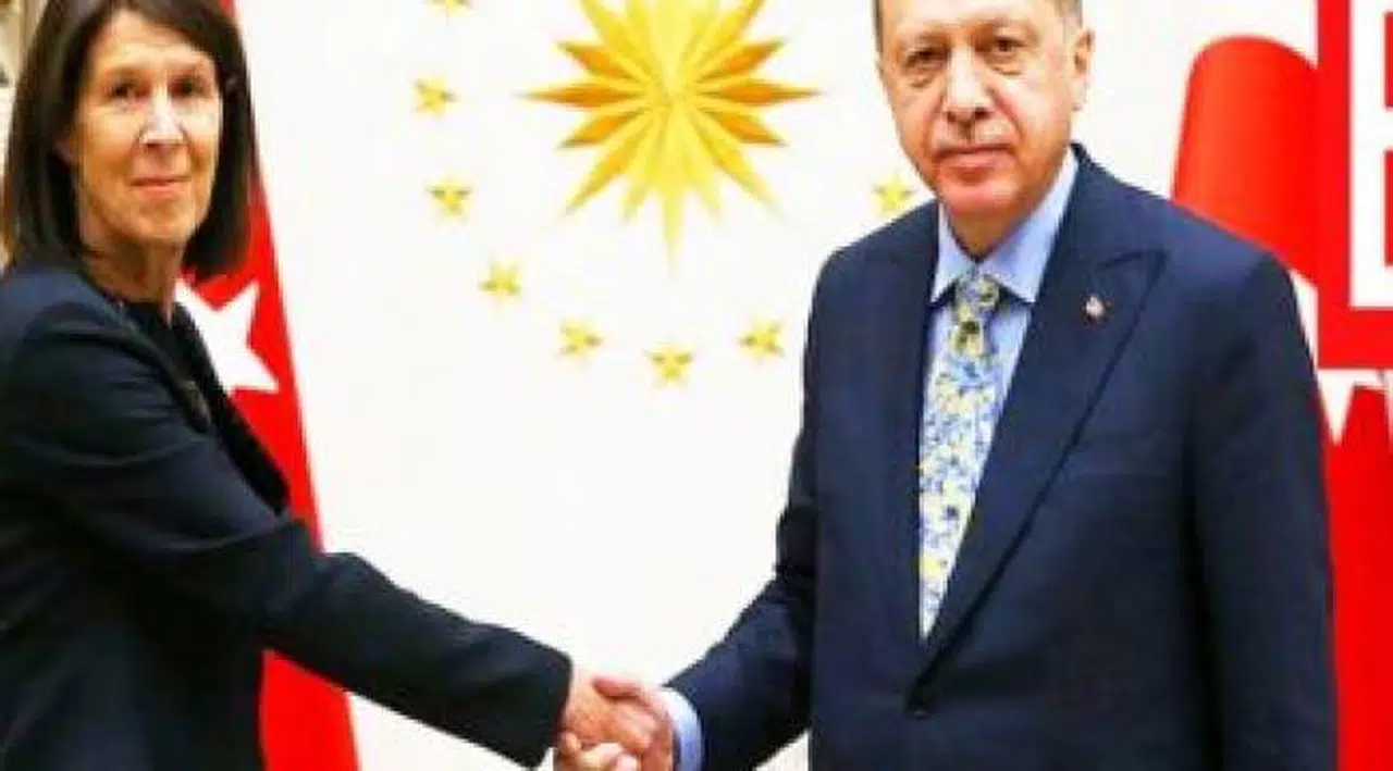 Şok iddia: 'Büyükelçilerin dokunulmazlığı kaldırıldı...Hollanda büyükelçisi sınır dışı edildi'