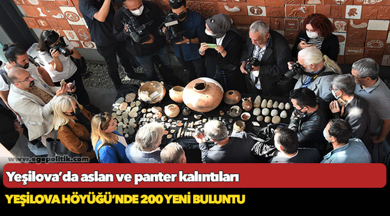 Yeşilova’da aslan ve panter kalıntıları