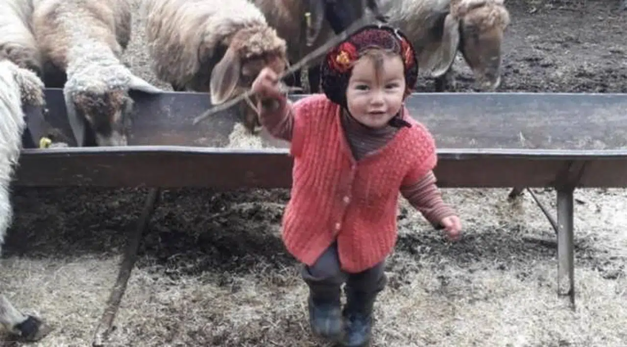 10 gün önce kaybolmuştu: Müslüme'nin cansız bedenine ulaşıldı