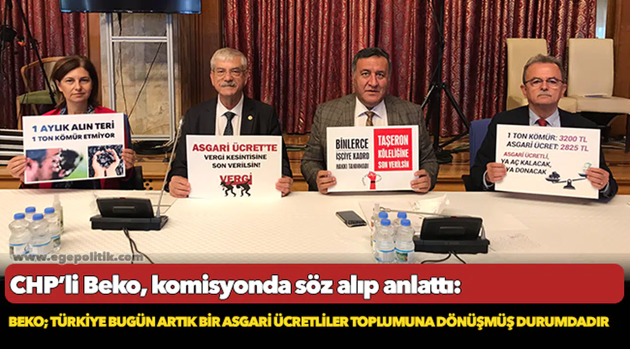 Beko; Türkiye bugün artık bir asgari ücretliler toplumuna dönüşmüş durumdadır