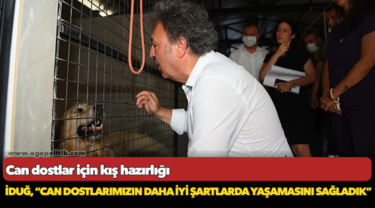 Can dostlar için kış hazırlığı