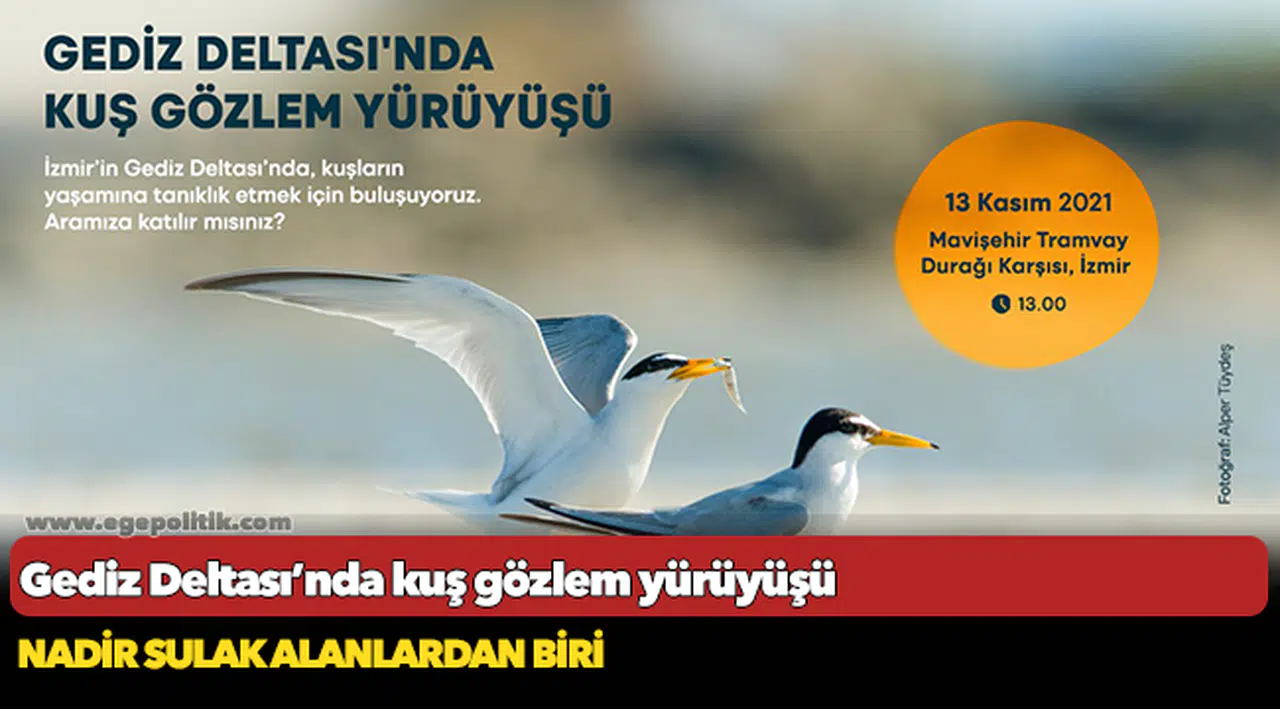 Gediz Deltası’nda kuş gözlem yürüyüşü