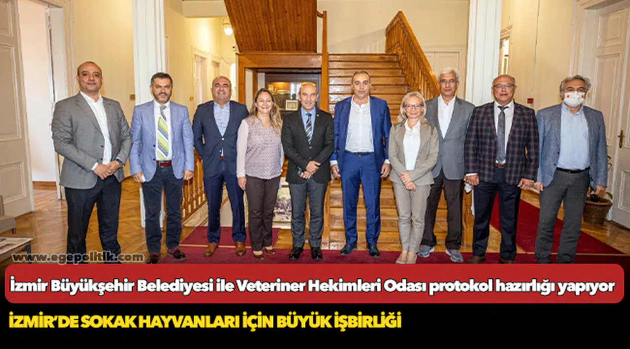 İzmir’de sokak hayvanları için büyük işbirliği