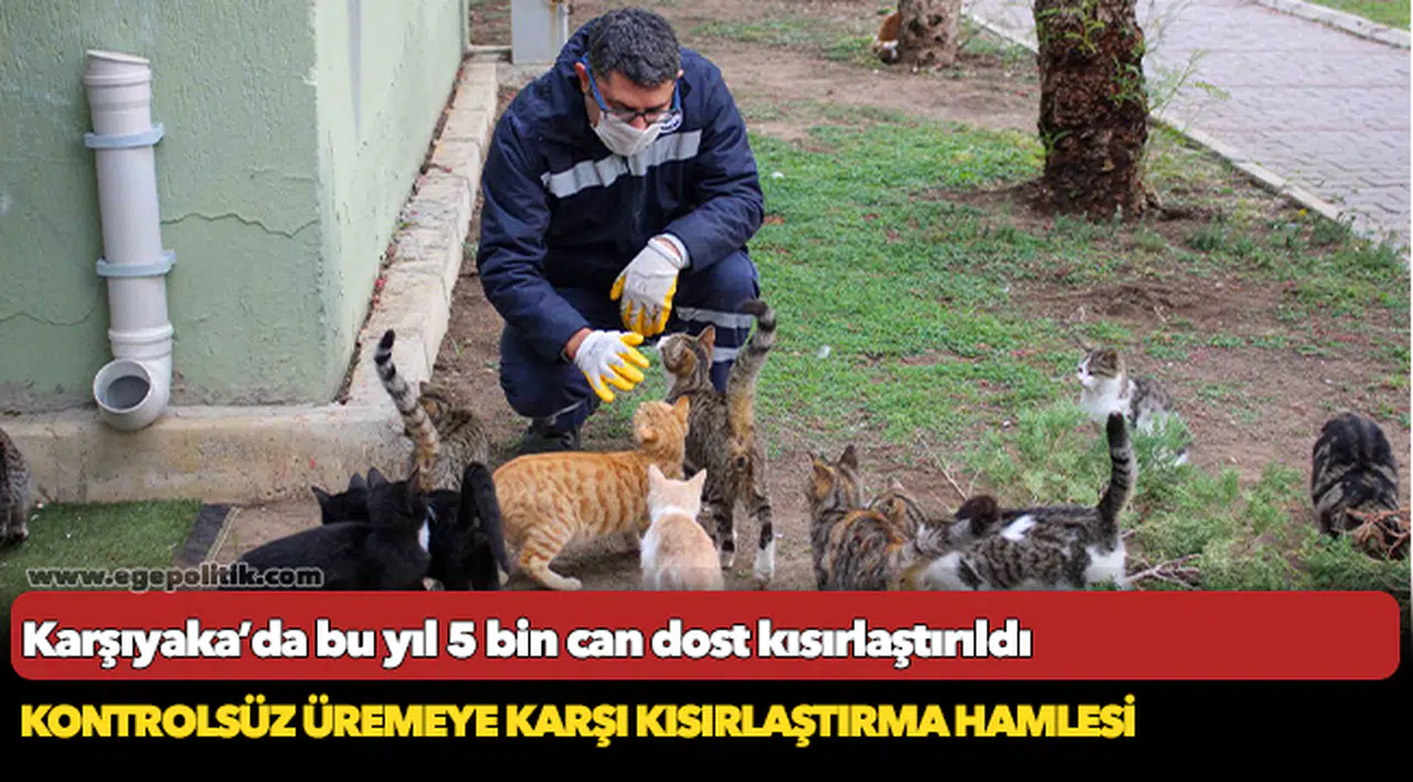Kontrolsüz üremeye karşı kısırlaştırma hamlesi